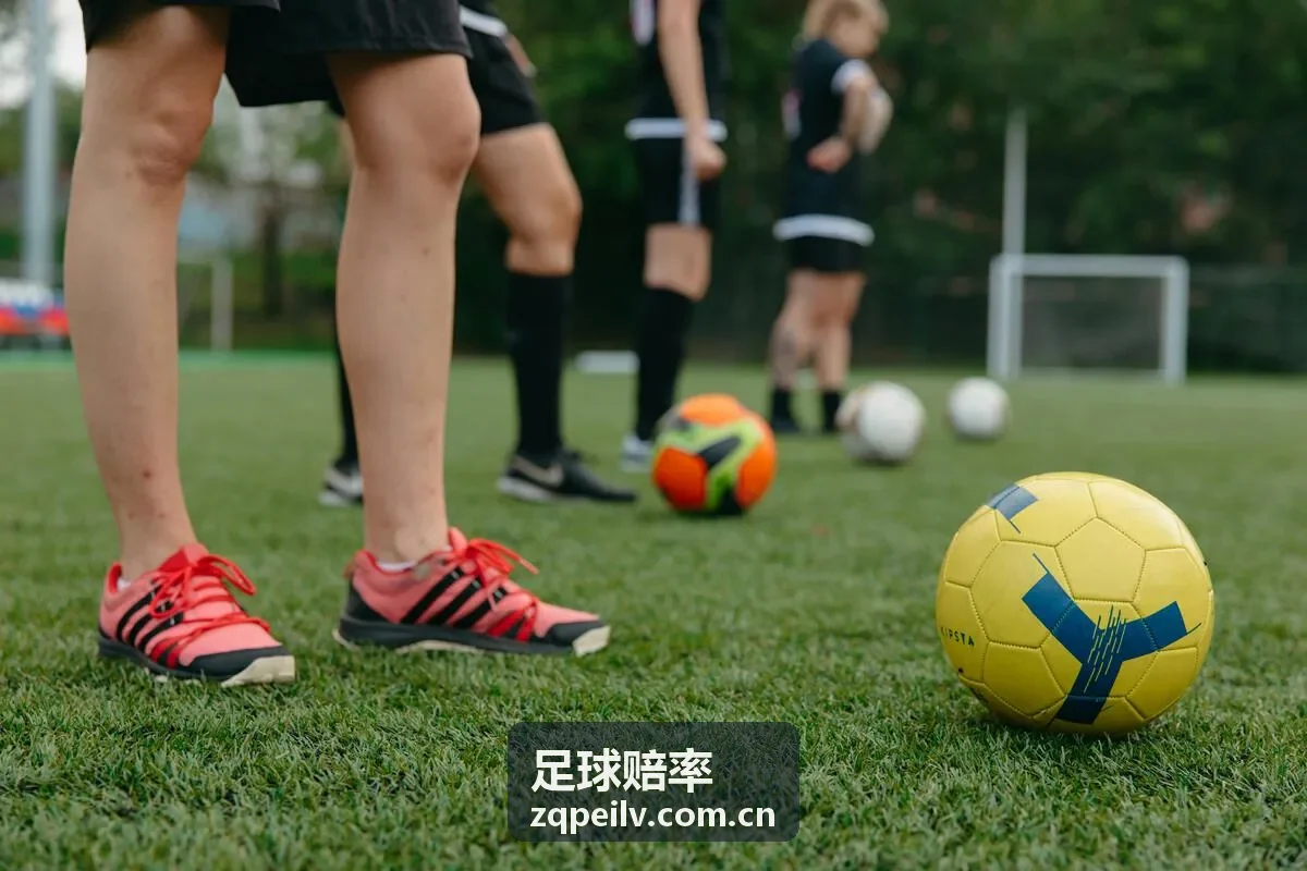 竞彩投注指南实用教程